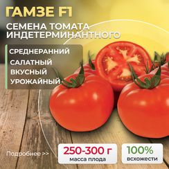 ГАМЗЕ F1 семена томата (Nunhems | Alexagro)