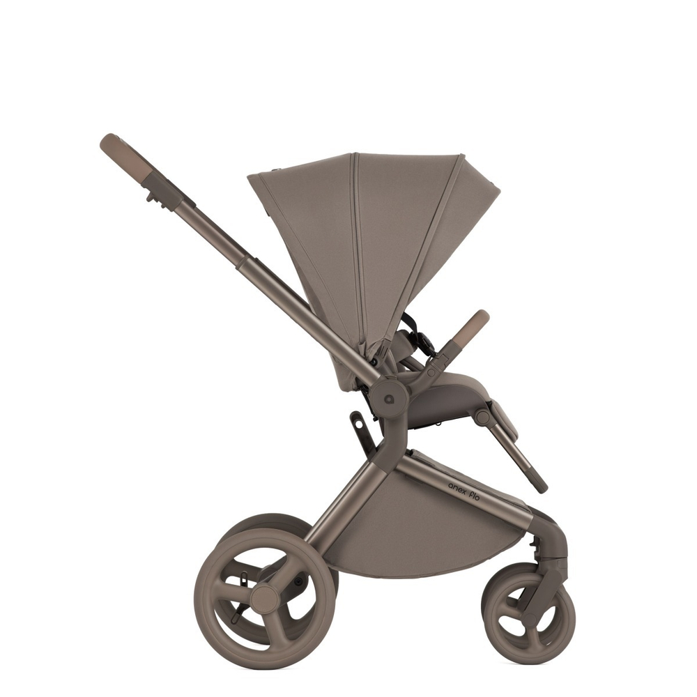 Anex Детская коляска Flo 2 в 1 Yuki