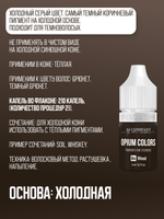 B6 - WOOD пигмент для бровей TM AS-Company OPIUM COLORS