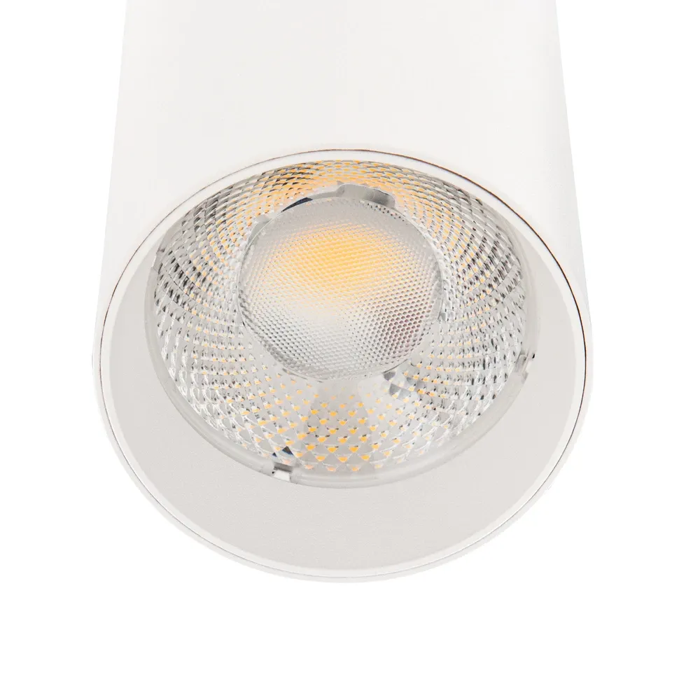 Трековый светильник Arte Lamp BENE