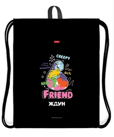 Мешок для сменной обуви, Hatber, ЖДУН, 420х340 мм, с петлей, с рисунком, полиэстер, 1, в плёнке