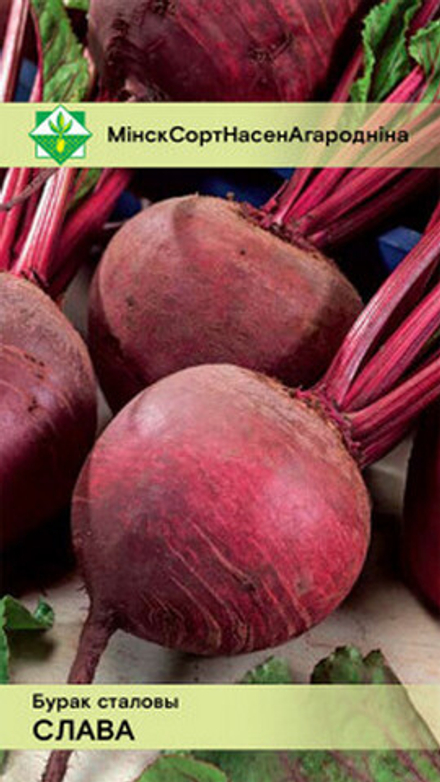 Свекла столовая "Слава" 2г, Беларусь.