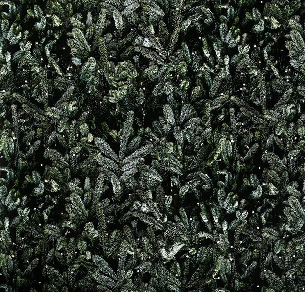 Фотофон рулонный "Ель" 70х100 см