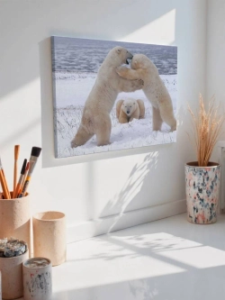 Картина на стену 40 X 50 Белые медведи