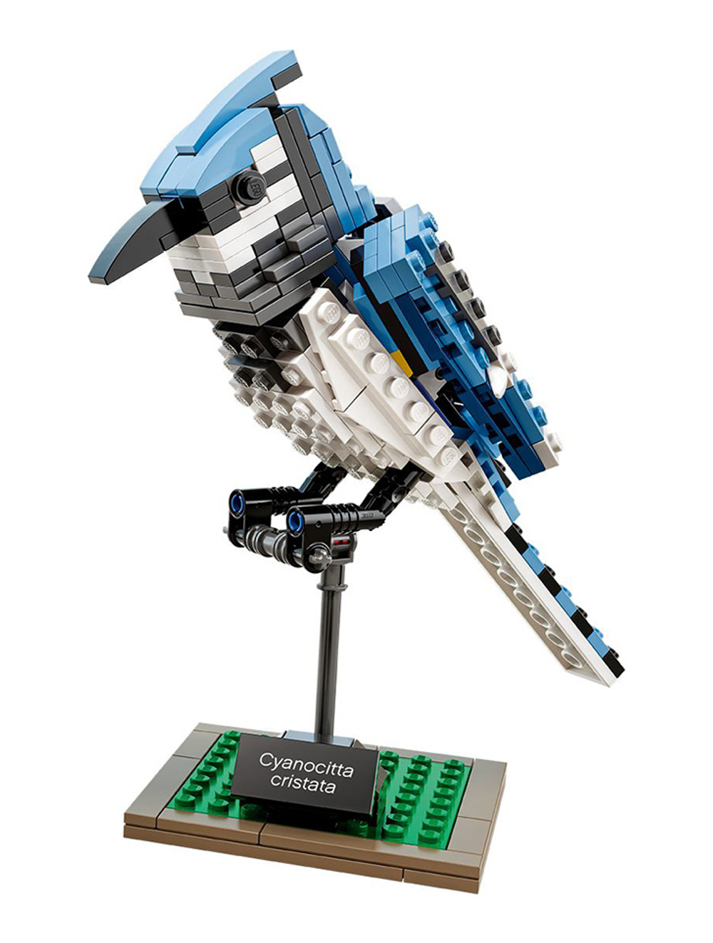 LEGO Ideas: Птицы 21301 — Birds — Лего Идеи