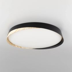 Citilux BONNY CL754451G LED RGB Светильник с пультом Чёрный + Клён