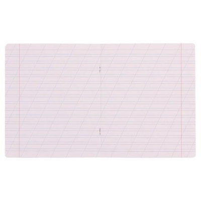 Тетрадь школьная А5 12л косая линия,ассорт "Классика Visio" (Полиграфика) микс цветов (комплект 5 шт)