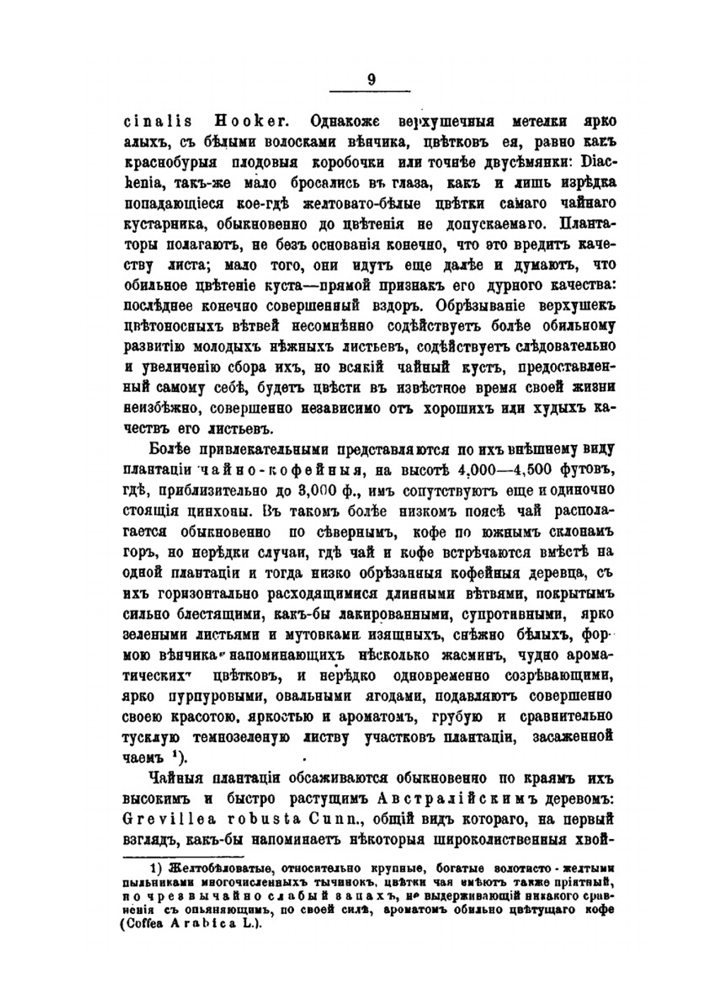 Культура и производство чая на Цейлоне и в Китае | В.А. Тихомиров