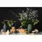 Диффузор ароматический green tea &amp; pear blossom из коллекции edge, 200 мл, бежевый