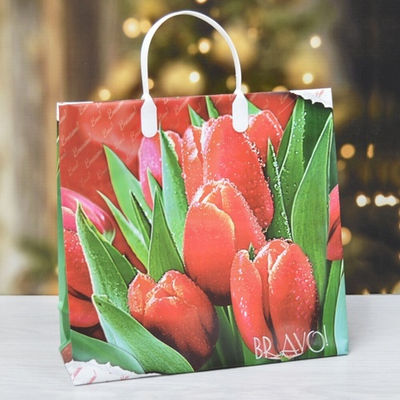 Пакет 30*30+10 из мягкого пластика "Браво"