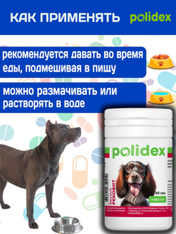 Polidex Recovit для собак, Кормовая добавка для восстановления организма после операций, травм, больших потерь крови, Полидекс Рековит, 150 таб