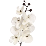 Искусственные цветы «FLOWERS MAGIC» 70см Орхидея шампань