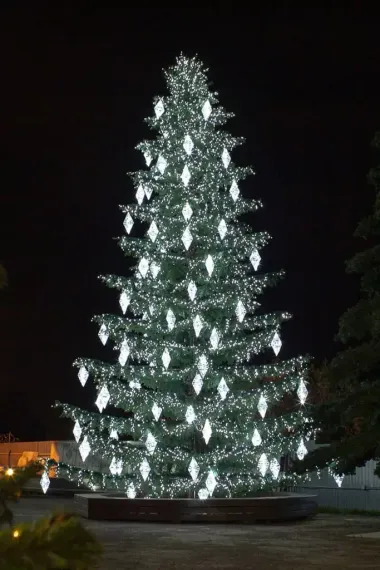 Уличная светодинамическая елка Лесная зеленая 18 м., ствольная, Литая, Green Trees (GT18LESPELED)