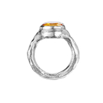 TEMEYA silver 2_однотон