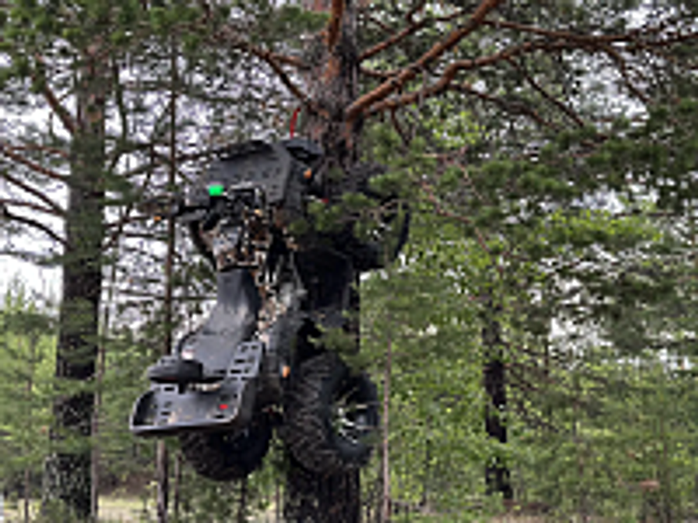 Квадроцикл PROMAX 320 DOMINATOR PRO (2025)