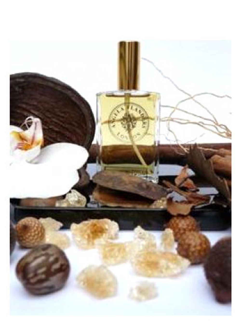 Angela Flanders Zanzibar