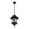 Уличный подвесной светильник Loft IT Prato 100021P