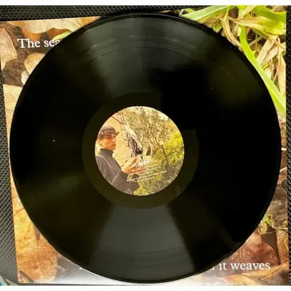 Belle & Sebastian - Late Developers LP