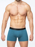 Мужские трусы-боксеры из нежной вискозы (Размер: L) (Цвет: бирюзовый)