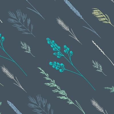 Луговые травы колоски темный