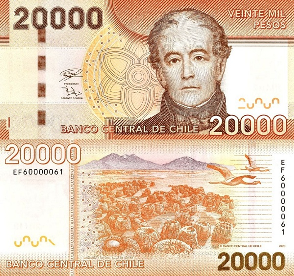 Чили 20000 песо 2009-2022 Андрес Бельо UNC