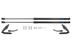 Упоры капота для CHERY Tiggo 2 Pro (J69), 2021-, к-т 2 шт / Черри Тигго 2 Про