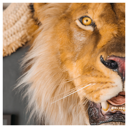 Реплика головы «Африканский лев»