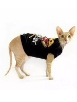 Одежда для кошек сфинкс