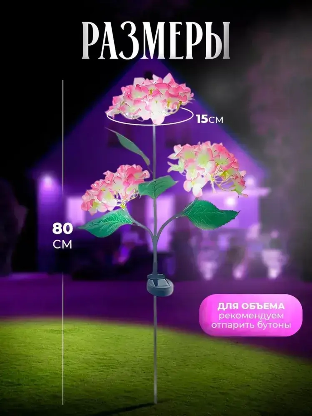 Гортензия на солнечной батареи