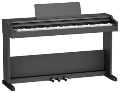 Roland RP107-BKX