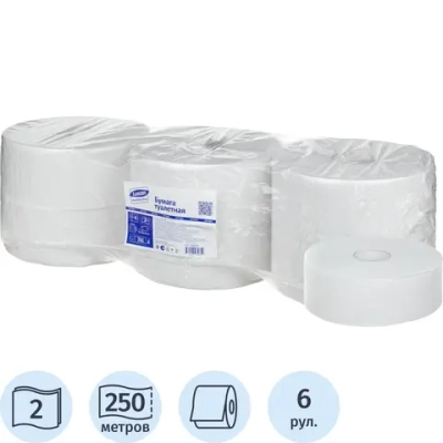 Бумага туалетная д/дисп Luscan Professional 2сл бел втор втул 250м 6рул/уп
