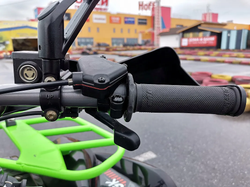 Квадроцикл PROMAX RENEGADE 280 WINCH PRO (2025)