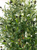 Олива 180 см.