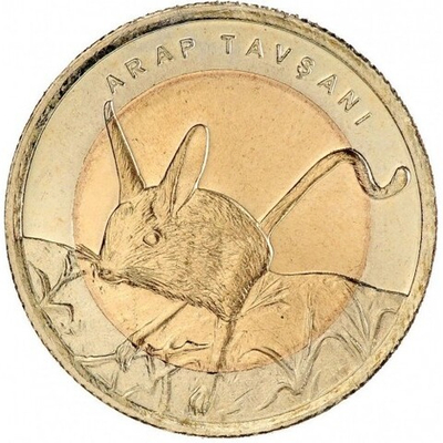 Четырёхпалый тушканчик