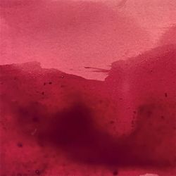 Чернила во флаконе Herbin Prestige 50 мл Rouge d'orien красные (13169JT) 2