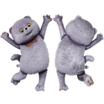 Шар Кот Басик