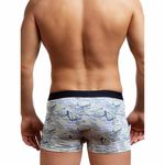 Мужские трусы боксеры светло-зеленые с принтом Sergio Dallini SG2309-1