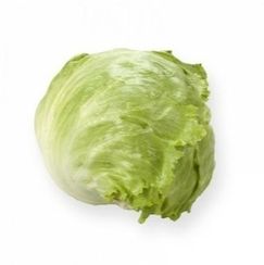 ПЛАТИНАС семена салата айсберг (Rijk Zwaan | Alexagro)