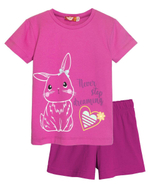 Комплект д/дев р.104 роз-сл (Let's Go) 91144