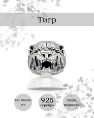 Голова тигра шарм