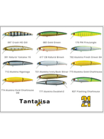 Воблер для рыбалки Pontoon21 Tantalisa 85JF-SR, 774, 2-x частный, плавающий, 85мм., 8.6 гр. 0.5-1.0 м.