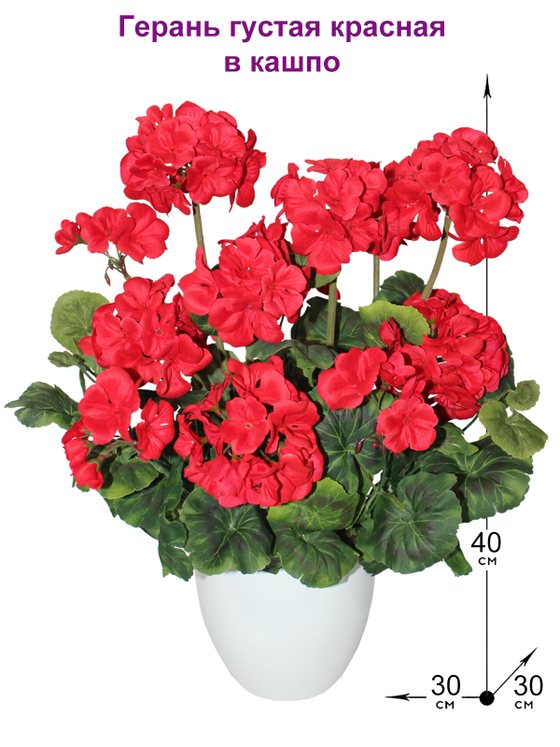 Искусственные цветы Герань красная густая 40см в белом кашпо