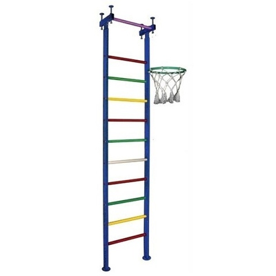 Детский спортивный комплекс ДСК Спорт Баскет 450 мм Цветные перекладины