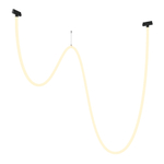 Трековый подвесной светильник Technical TR101-2-100W3K-B