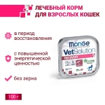 Влажный корм диетический для кошек Monge VetSolution Cat Recovery Рекавери при восстановлении питания в период выздоровления 0,1кг