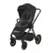 Коляска Espiro Miloo 2 в 1 Diamond Black (210)