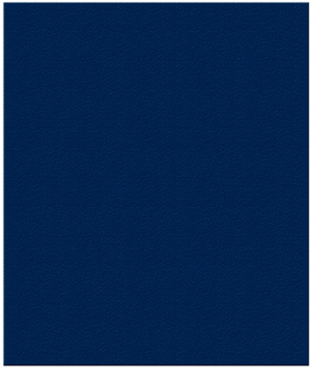 Тетрадь общ. 48л., БУМВИНИЛ синий, блок - типографская бумага 60 г/квм, белизна 70%