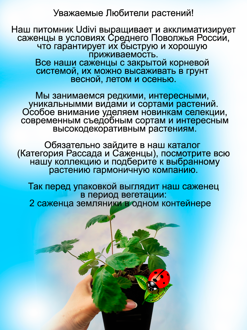 Земляника Золотинка желтая ремонтантная