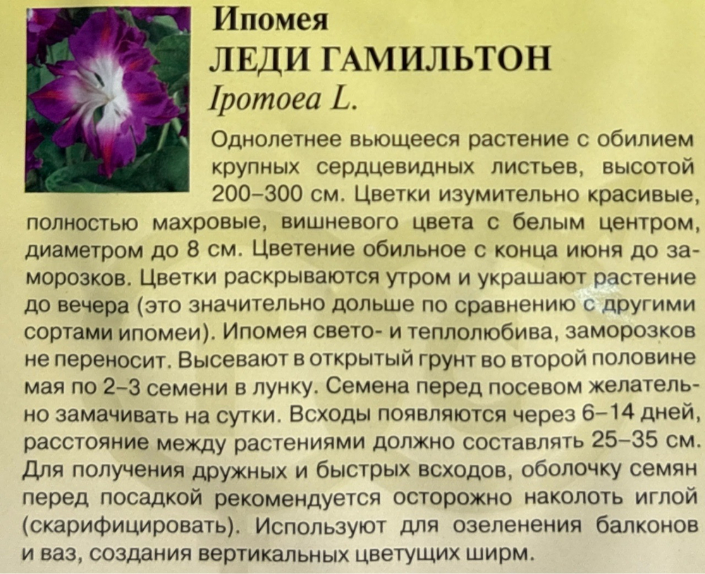Ипомея Леди Гамильтон 0,3 г СМЦ-517