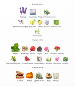 Heritage Eau de Toilette Guerlain 100 ml (duty free парфюмерия)